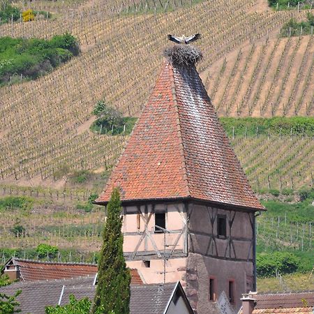 Gite Du Vignoble أمرشفير المظهر الخارجي الصورة