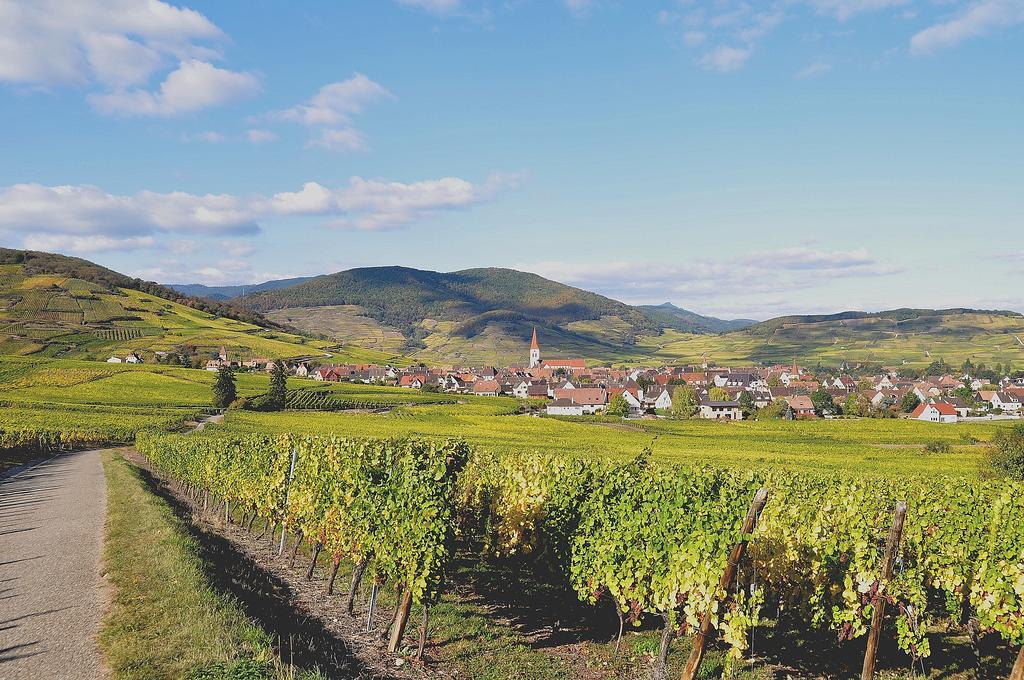 Gite Du Vignoble أمرشفير المظهر الخارجي الصورة