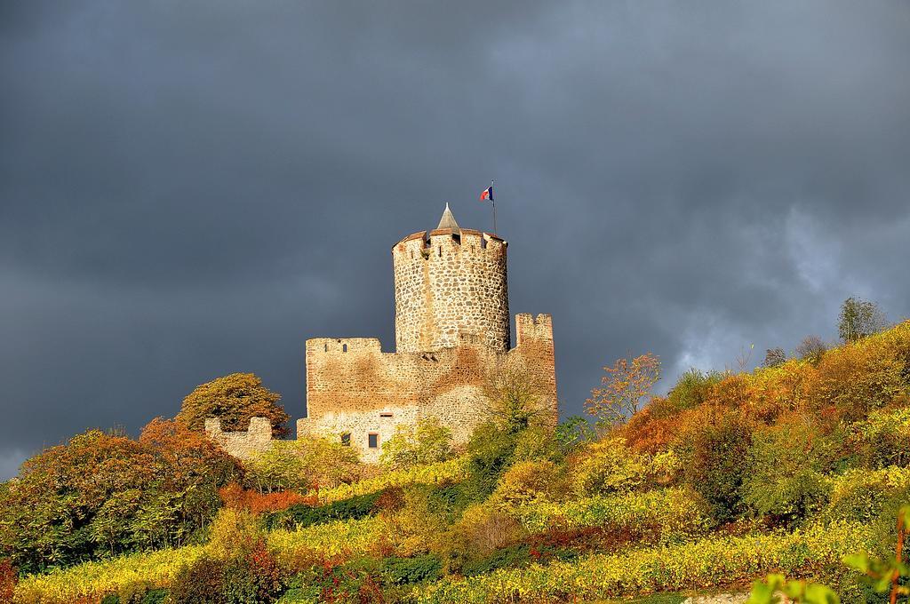 Gite Du Vignoble أمرشفير المظهر الخارجي الصورة