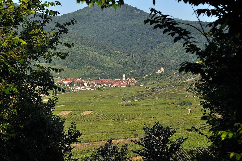 Gite Du Vignoble أمرشفير المظهر الخارجي الصورة